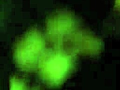 tinder bbw chatting and sharing pics with friends online 😊