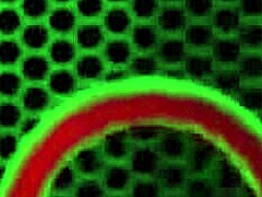 Hazel Moore de 19 ani lingută în lenjerie, pizda linsă