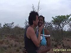 Safari Orgy: African Adventure Unleashed