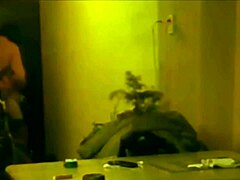 Fabiana Sucks and Gets Anal Fucked Immediately!