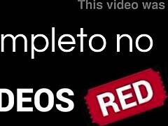 Повикан тип зад скалите на плажа смуче кур.