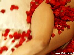 beautiful brunette dances and teases nude