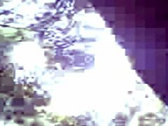 Malaysian budak gets fucked hard by amateur Asian on open field.