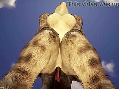 แอคชั่นเฮนไตเฟอร์รี่ชีวิตป่า 🐾🔥