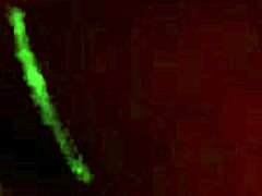 well, when ya know it's going down?