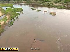 bratty african hottie pov pussy wrecked by white boyfriend in the park