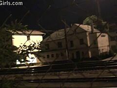 alexis crystal gives public blowjobs through car window