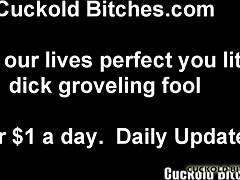 Wife Cheats In Femdom Bdsm Scene With Cuckold Husband Watching Cum-Filled Pussy