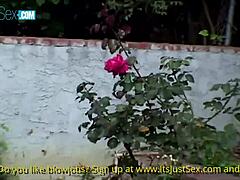 Is Cole Commors fucking that milf poolside?