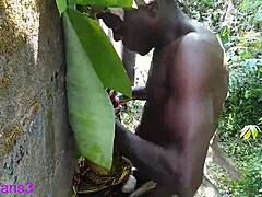 mature gay performers in huge show