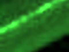 lets play ttpp demo with fun challenges