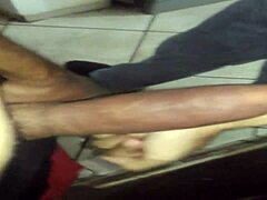 Pará helps jacaré in an indian anime adventure