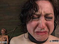 Can You Handle This Hardcore Sadomasochism Porn? Intense Scenes That Will Shock You!