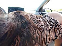 holidays in puglia with rental car found