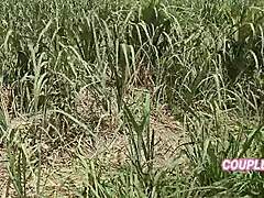 komal khēt mēṁ mūt rahī thī ki mālik nē chupkē sē ākar baiṭh kar ghar lē gayē