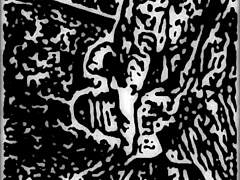 i stayed at this motel and it was wild