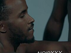 Business deal concludes with a group discussion.