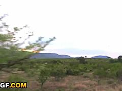 Noire 18+ suce bite ami africain en fellation amateur. POV ébène gonzo montre baise romantique vacances.