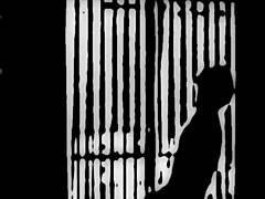 i stayed at this motel and it was wild