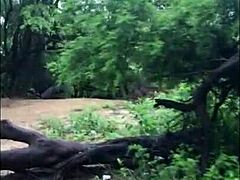 Big Boy Pleases With Monster Cock.