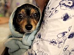 The Dos and Don'ts When Deciding to Use Dating Apps