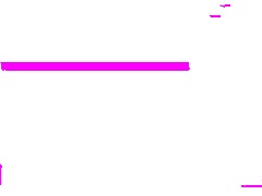 What Bikini Emblem Hides in Anime Hentai?