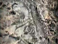 Public beach sex with brunette stranger giving pov blowjob and cum in muscular ass action 😜