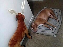 Spreading ass in doggystyle group 😏