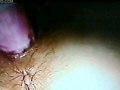 Blindfolded wife fucked with rabbit