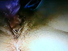 Blindfolded wife fucked with rabbit