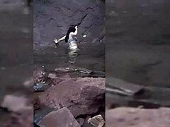 hey curvy latina from colombia bends over for doggystyle after sucking hard