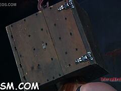 Inflicting Pleasure On Babe's Slit