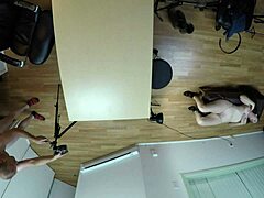 i love audrey decker casting pov with big tits and blowjob action