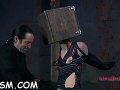 Inflicting Pleasure On Babe's Slit