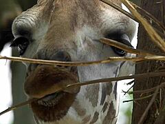 5 reasons girls don't orgasm 😊