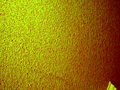 Asian hooker licks in missionary for creampie!