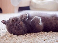 5 reasons girls don't orgasm 😊