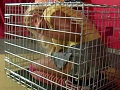 i watch scott cum on maxine's lips