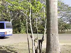 i masturbate riskily near my colleague in the office, panties down for passionate orgasm