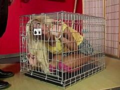 i watch scott cum on maxine's lips