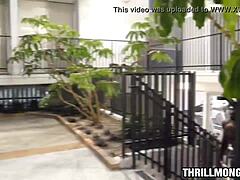 Blonde Teen Creams On Big Black Cock