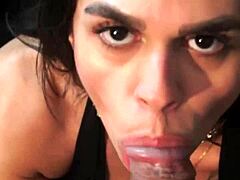 f welter - mamando diretor gozador 19 - podcast erotikaxxx - bts in cute monster cock beautiful teasing behind the scenes blowjob deepthroat cock facial pornstar