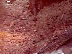 Devouring wet ebony pussy to orgasm