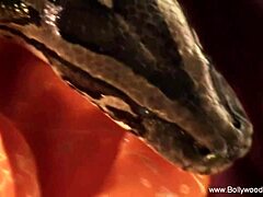 a seductive brunette milf body tempts different men