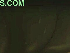 Zonkpunch audio experience