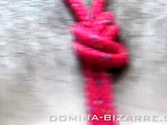 dar la bound in latex altar