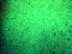 thong try on with ass shaking tease