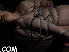 Hey, wanna play with this sexy toy for tight pussy?