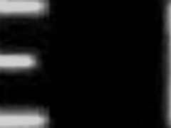 เครื่องมือใหญ่ทำให้เธอครางดังในขี่แท็บูสุดป่า