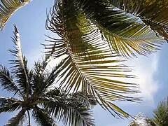 Mommy milf takes taboo pov from pervy stepson in part one action